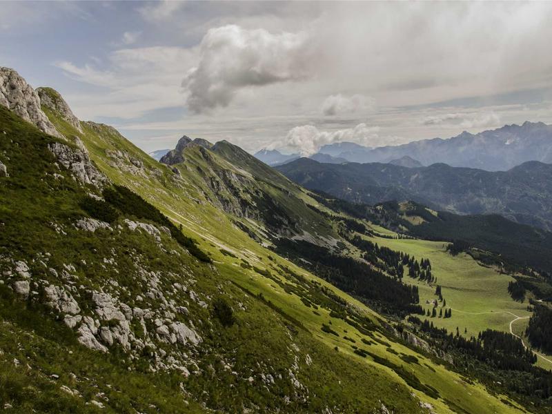 饥饿游戏<br>lyd4nhjn.cn 施惠国竞技场